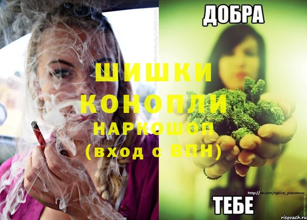 винт Аркадак
