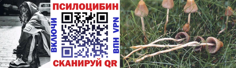 Псилоцибиновые грибы Psilocybe  цены наркотик  мега зеркало  Заречный 