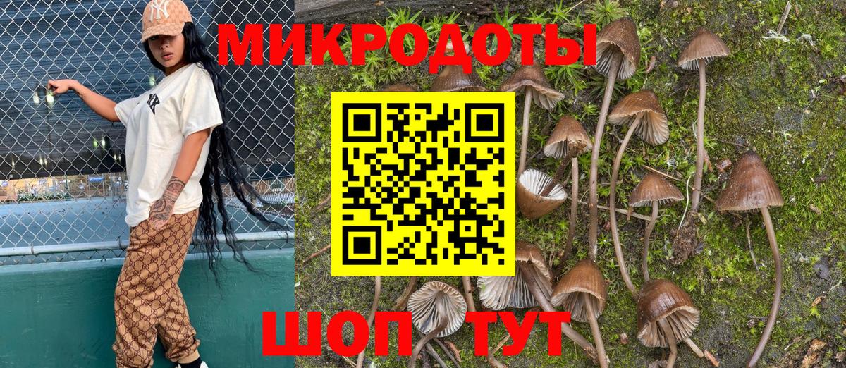 Галлюциногенные грибы MAGIC MUSHROOMS  Галлюциногенные грибы Cubensis  Вход с VPN  Заречный 