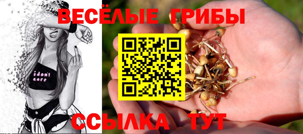 Галлюциногенные грибы Cubensis Заречный