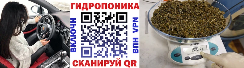ОМГ ОМГ ТОР  Заречный  Канабис ГИДРОПОН  купить  цена 