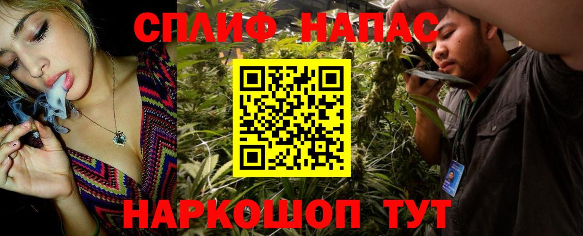 Бошки марихуана сатива Заречный